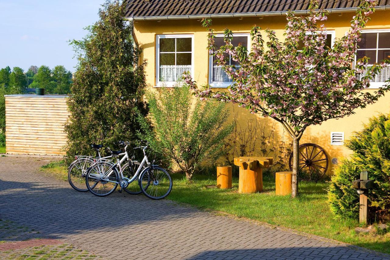 Hotel Am Mueritz-Nationalpark Waren  Extérieur photo